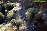 I Marcha BTT Maratón ´Ciudad de Álora´