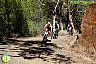 I Marcha BTT Maratón ´Ciudad de Álora´