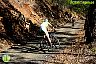 I Marcha BTT Maratón ´Ciudad de Álora´