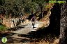 I Marcha BTT Maratón ´Ciudad de Álora´
