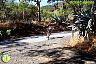 I Marcha BTT Maratón ´Ciudad de Álora´