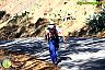I Marcha BTT Maratón ´Ciudad de Álora´