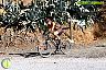 I Marcha BTT Maratón ´Ciudad de Álora´