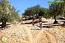 I Marcha BTT Maratón ´Ciudad de Álora´