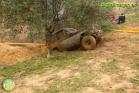 Exhibición 4x4 en Álora