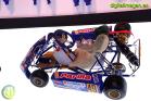 Fernando Alonso Collection