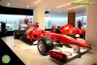 Fernando Alonso Collection