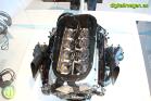 Fernando Alonso Collection