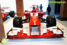 Fernando Alonso Collection