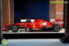 Fernando Alonso Collection