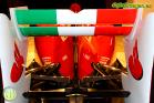 Fernando Alonso Collection
