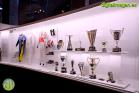 Fernando Alonso Collection