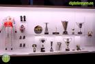 Fernando Alonso Collection