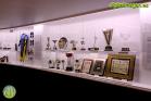 Fernando Alonso Collection