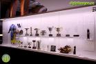 Fernando Alonso Collection