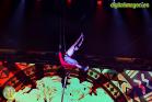 Apocalipsis - Circo de los horrores en Málaga
