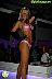 Fiesta en Beluga Beach