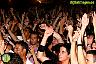 Concierto de Macaco, ElBicho y Sanchez no te enganches