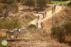 V Marcha BTT Maratón Ciudad de Álora