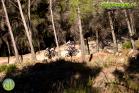 V Marcha BTT Maratón Ciudad de Álora