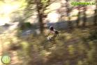 V Marcha BTT Maratón Ciudad de Álora