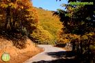 Ruta en bici por el Valle del Genal