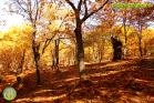 Ruta en bici por el Valle del Genal