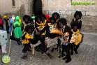 Carnaval de Álora 2013