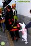 Carnaval de Álora 2013