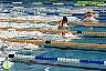 XI Campeonato de España de natacion P50 1ª Jornada