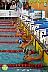 XI Campeonato de España de natacion P50 1ª Jornada