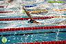 XI Campeonato de España de natacion P50 1ª Jornada