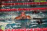 XI Campeonato de España de natacion P50 1ª Jornada