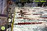 XI Campeonato de España de natacion P50 1ª Jornada