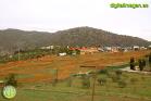Pruebas modelos 2015 KTM y SUZUKI en el Circuito de Álora