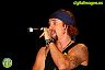 Costa Pop 2009