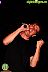 Costa Pop 2009