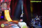 CRYSTAL - Cirque Du Soleil en Málaga