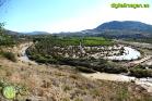 Efectos de las inundaciones en Álora