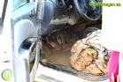Efectos de las inundaciones en Álora
