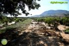 Efectos de las inundaciones en Álora