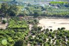 Efectos de las inundaciones en Álora