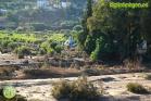 Efectos de las inundaciones en Álora