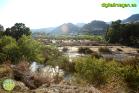 Efectos de las inundaciones en Álora