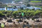 Efectos de las inundaciones en Álora