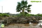 Efectos de las inundaciones en Álora