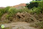 Efectos de las inundaciones en Álora