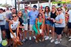 Feria de Álora 2024 - Domingo