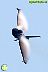 F-16 Demo Team