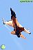F-16 Demo Team